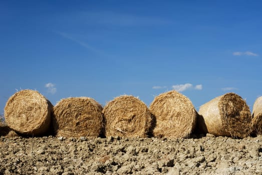 Line of straw bales in a plowed field