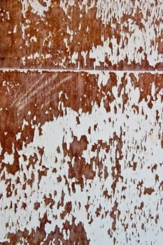 texture series: old styled white painted veneer