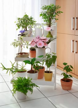 Shelf for flowers in white