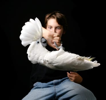 Child Holding Playful Umbrella Cockatoo