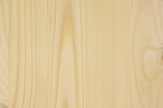 Fragment of natural wood door. Close up