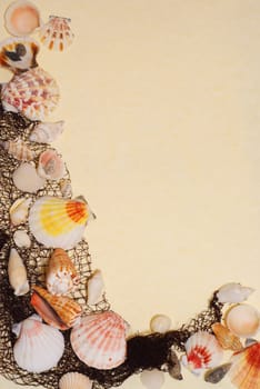 Border decoration with colorful seashells and net on mottled old paper