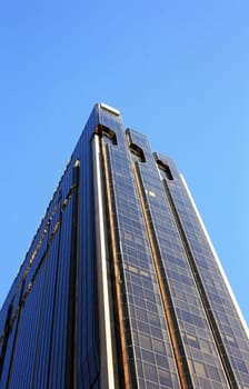 Tall Buildings on a sky - Aukland. New Zealand