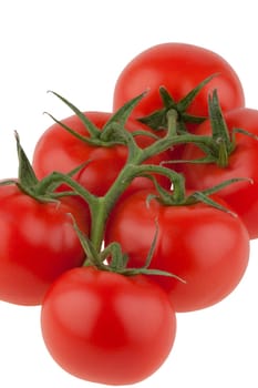 tomatoes, isolated on white background