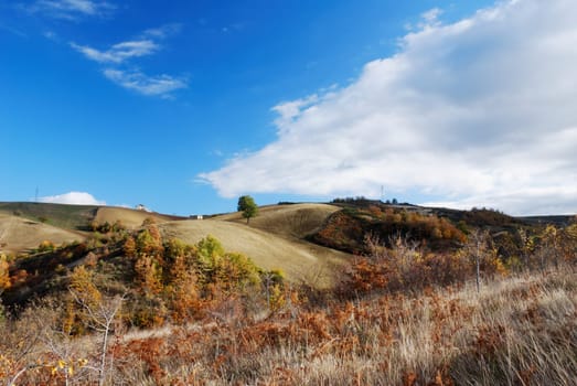 Dry grass and fall colors on hillside in center Italy