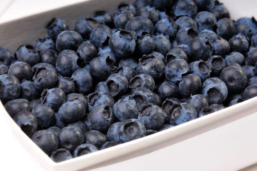 Blueberries isoleted