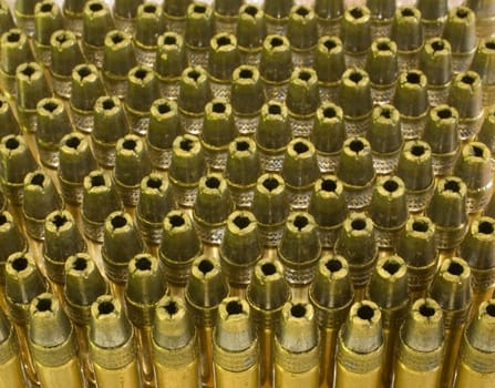 hollow point bullets back lit that are for a rimfire rifle or pistol