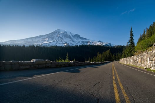 Road through Mount Rainier National Park, Washington