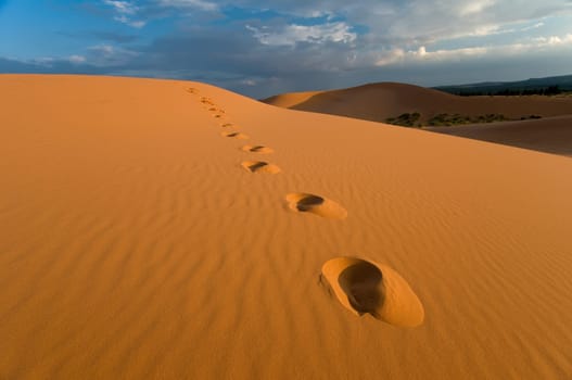 Footprints in Coral Pink Sand Dunes State Park near Zion, Utah
