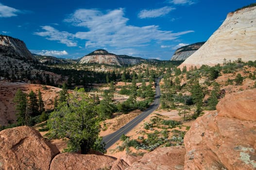 Road through the red rocks of Zion National Park, Utah