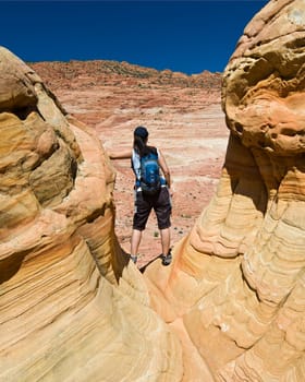 Coyote Buttes of the Vermillion Cliffs Wilderness Area, Utah and Arizona