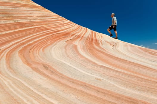 The Wave of Coyote Buttes in the Vermillion Cliffs Wildreness Area, Utah and Arizona