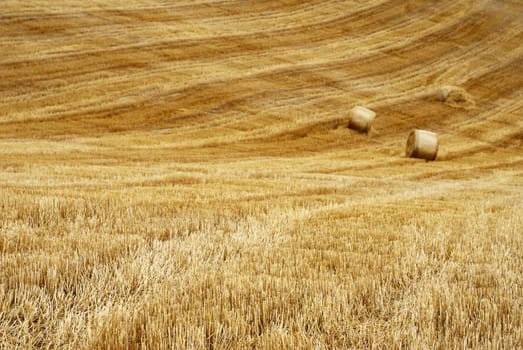 Field with straw bales and lines