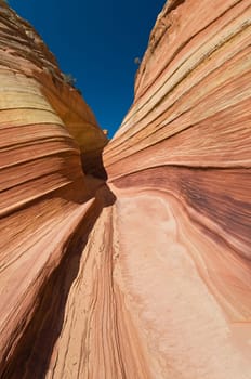 The Wave of Coyote Buttes in the Vermillion Cliffs Wilderness Area, Utah and Arizona