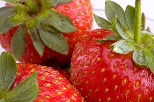 Close-up detail of strawberries on white background
