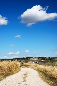 Little lane among cultivated fields in end summer