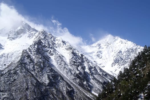 High Mountains. Caucasus. Tsey.