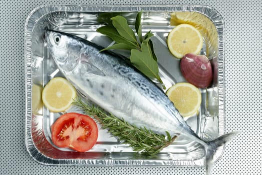 Euthynnus alletteratus, called false albacore from Mediterranean sea
