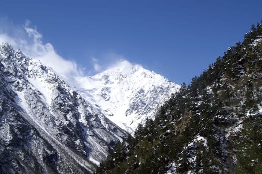 High Mountains. Caucasus. Tsey.