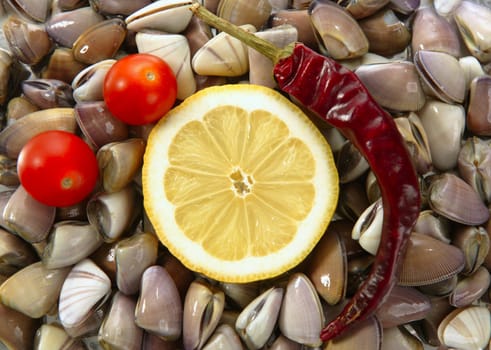 Clams with tomato, chili and lemon, seafood from mediterranean