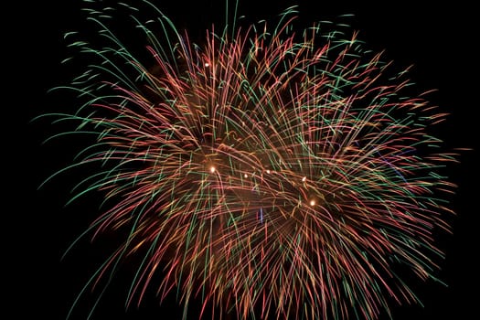 multi colored firework flowers