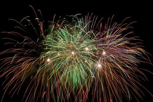multi colored firework flowers