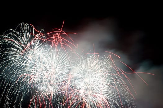 multi colored firework flowers