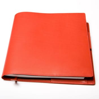 braun leather journal