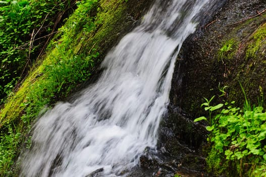 fresh spring waterfall in forest