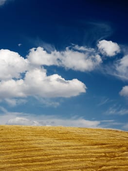Straw after harvest under moody sky