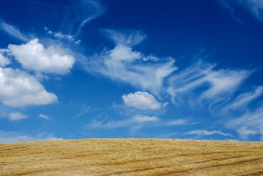 Straw after harvest under moody blue sky