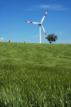 Green wheat field with solitary wind turbine in background (shallow focus on wheat in foreground)