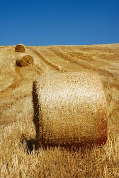 Straw bales in a line under clear blue sky