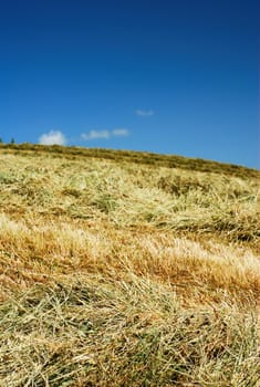 Hay over the hillside under blue sky