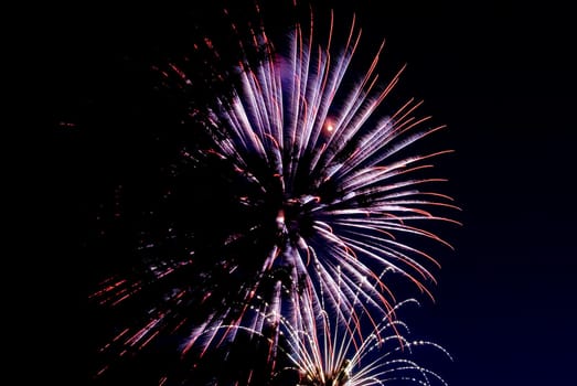 Fireworks exploding in the dark of the evening sky.