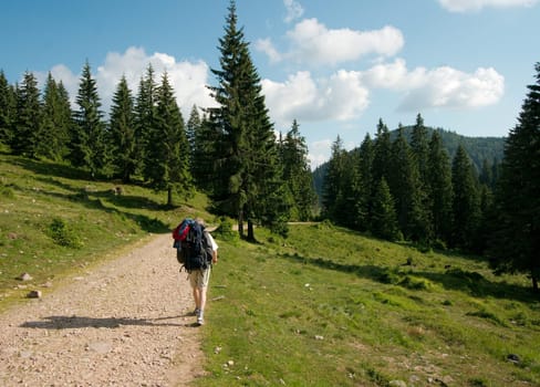 Hiking on a nice hilly landscape