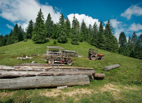 Green meadow and forest with tractor and logs in Transylvania