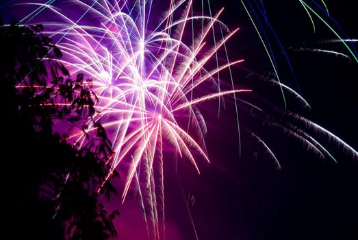 Fireworks exploding in the dark of the evening sky.