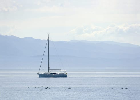 Sailing boat on the see in bright daylight