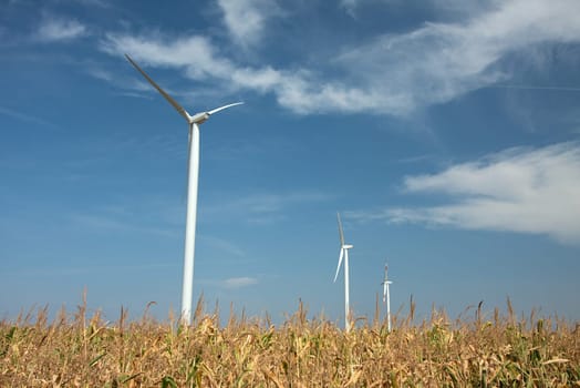 Wind turbines on an agricultural field