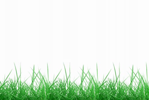 Green meadow grass over white background with copy space