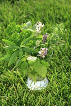 Fresh herbs from garden as bouquet in the grass