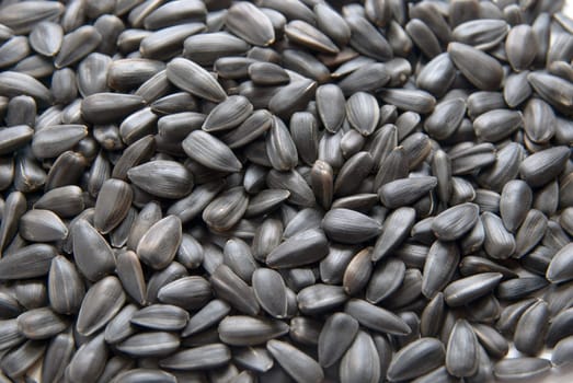 Close-up of Sunflower seed. texture background