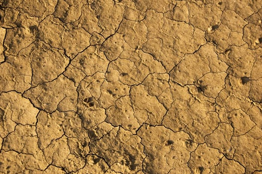Dry earth in a desert