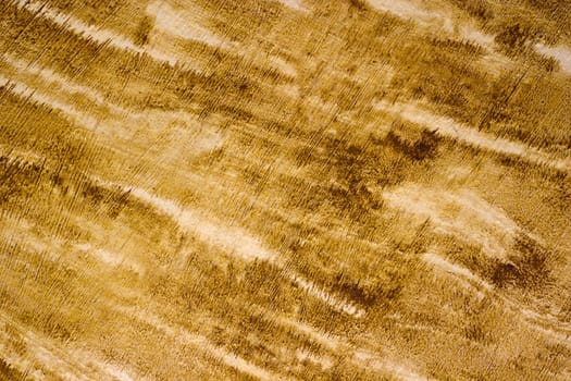 Abstract wooden background texture