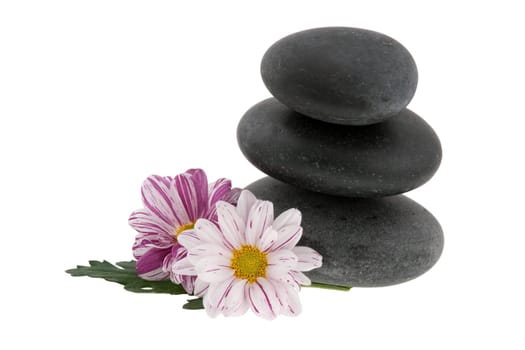 Hot stones with flowers, isolated on white background