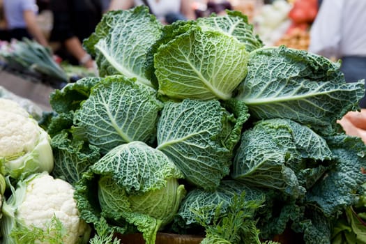 Cauliflowers and Cabbages on a market stall