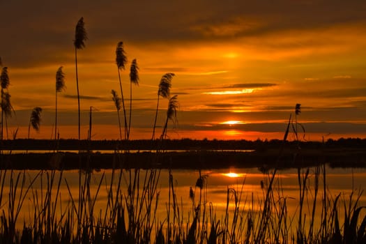The river on a beautiful decline