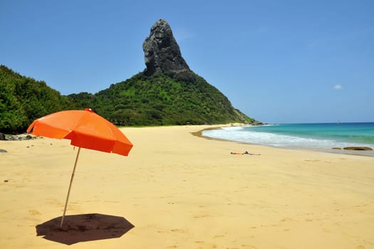 orange parasol