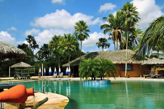 tropical resort pool